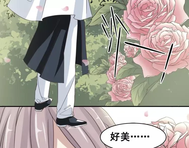 035 野蔷薇物语（上） 第26页