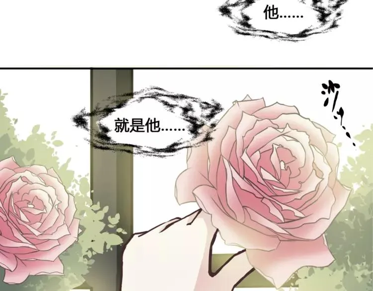 035 野蔷薇物语（上） 第41页