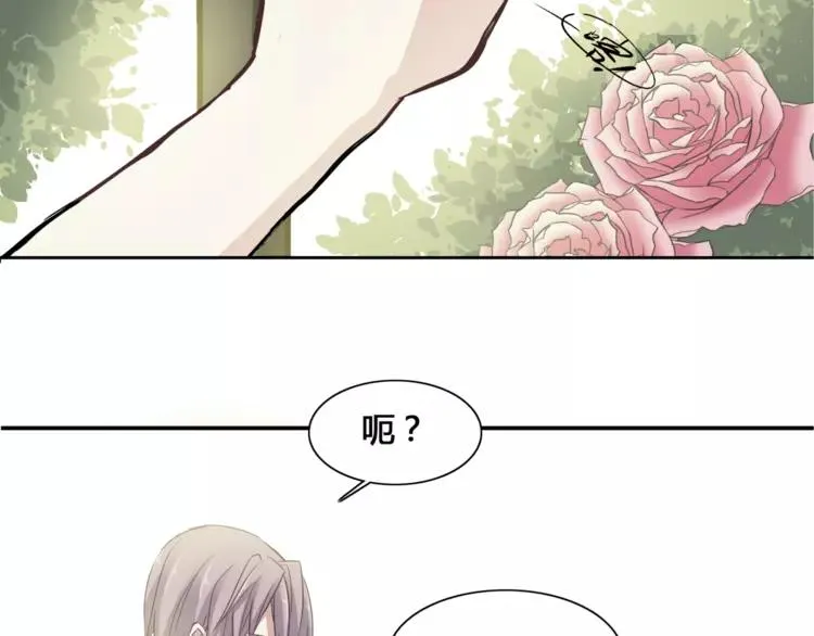 035 野蔷薇物语（上） 第42页