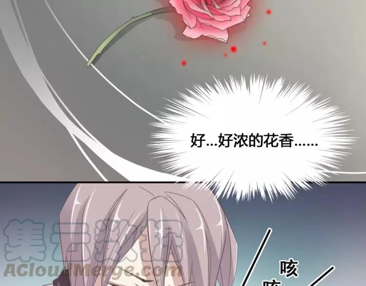 035 野蔷薇物语（上） 第61页