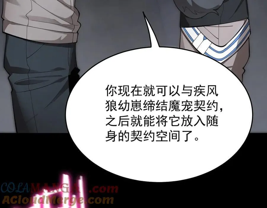第27话 史诗阶魔宠 第137页
