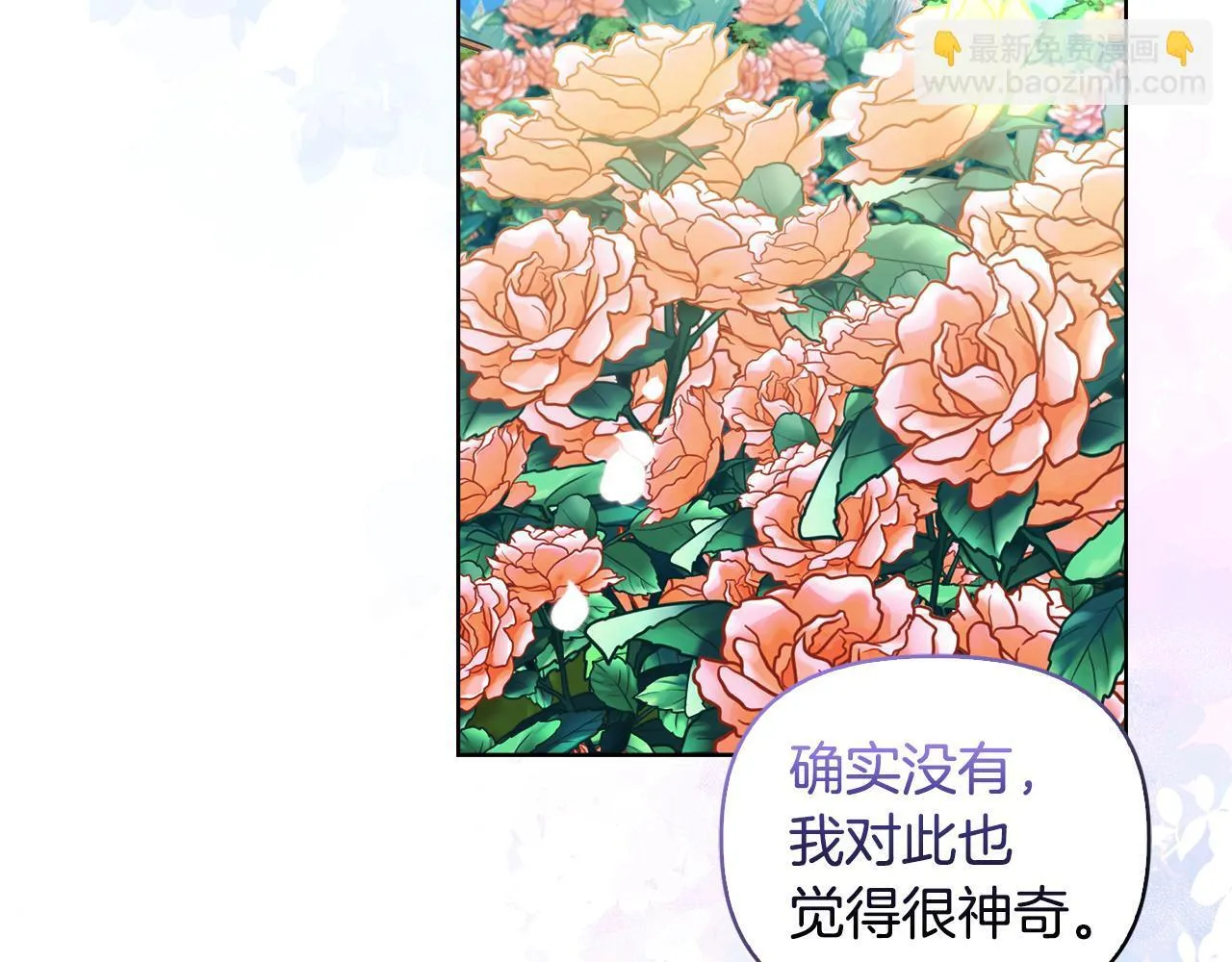 第44话 你敢和我打赌吗？ 第143页
