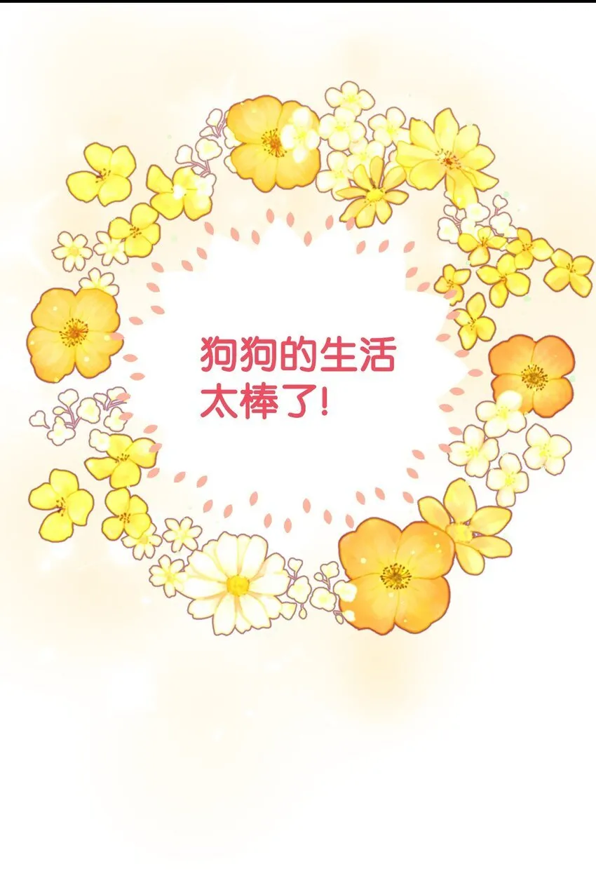 05 躺平万岁 第46页