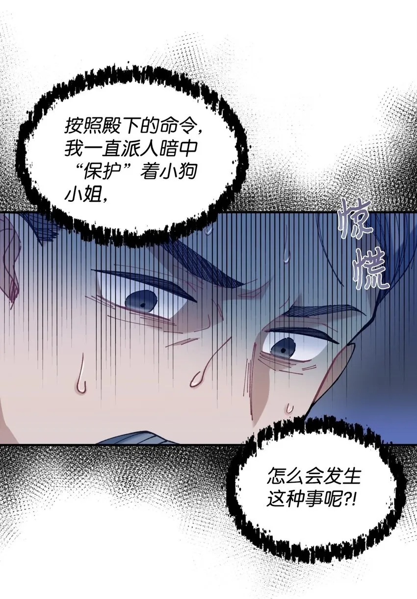 08 小狗小姐失踪了 第50页