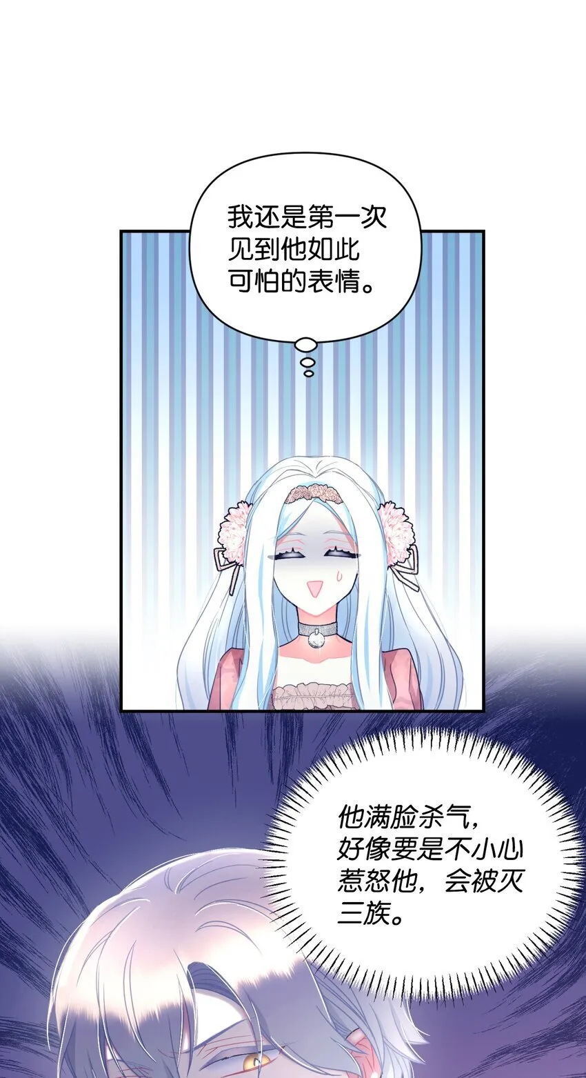 14 宠物福利大放送 第35页