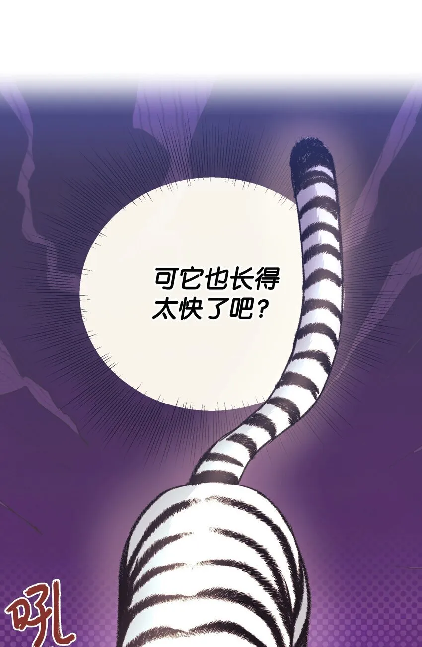 25 传闻中的妖妇 第3页