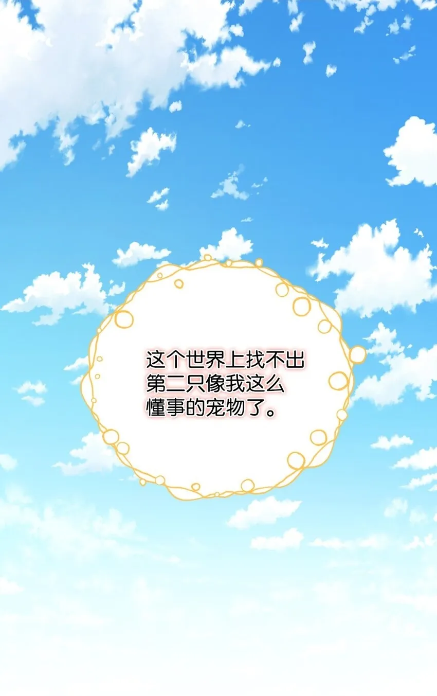 26 求婚？ 第14页