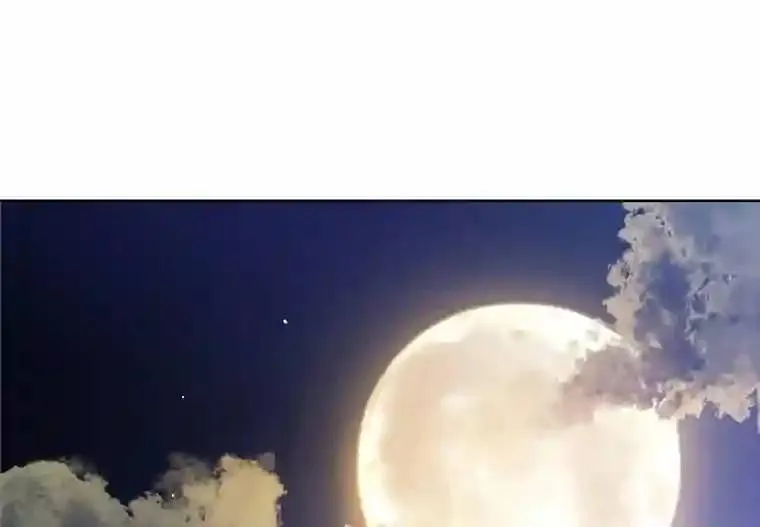 31.确定战略 第24页