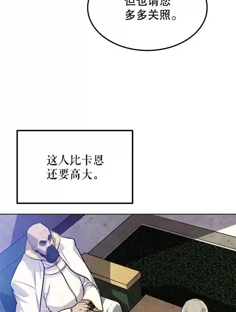 31.确定战略 第119页