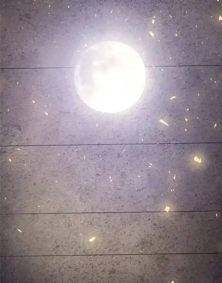 39.日月同辉 第59页