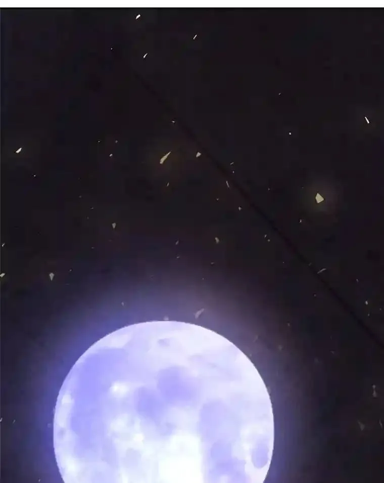 39.日月同辉 第76页
