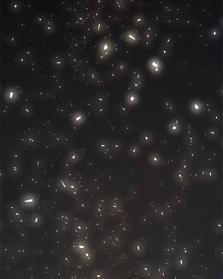57.大获全胜 第2页