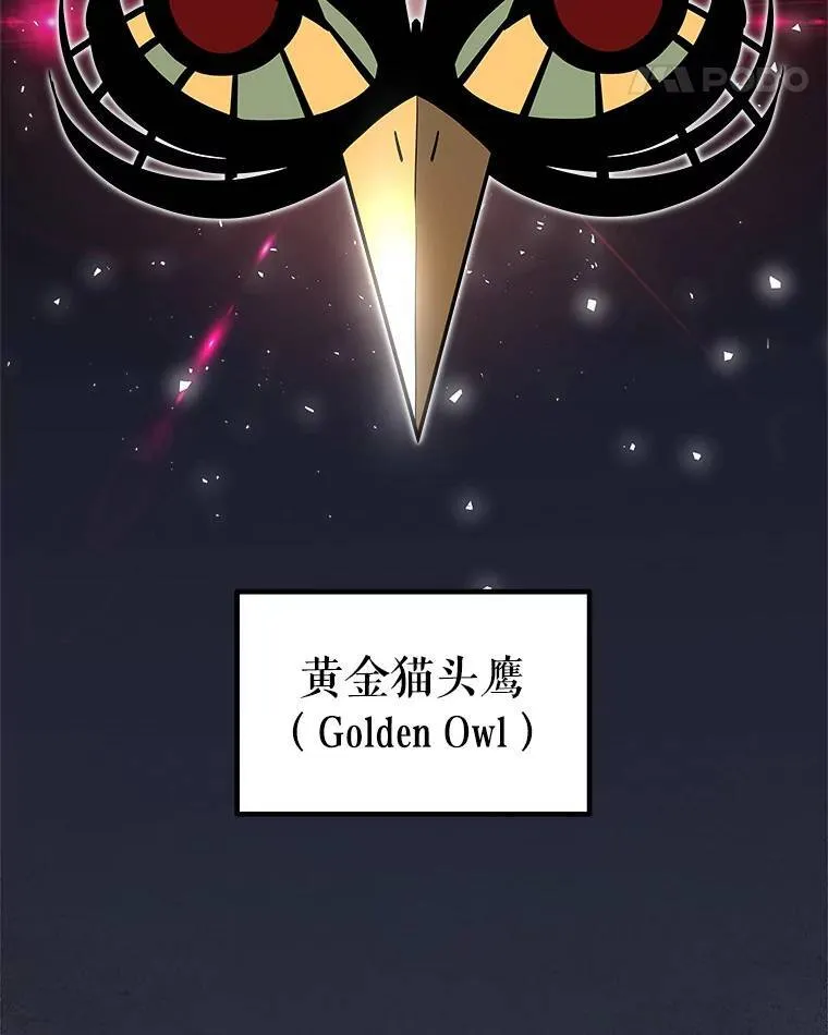 64.黄金猫头鹰 第36页