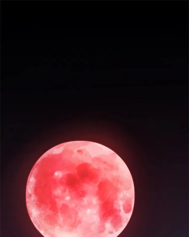 81.变身吸血鬼 第112页