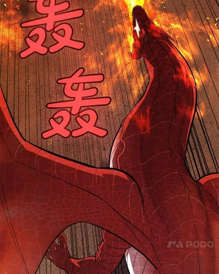 100.讨伐龙兽 第10页