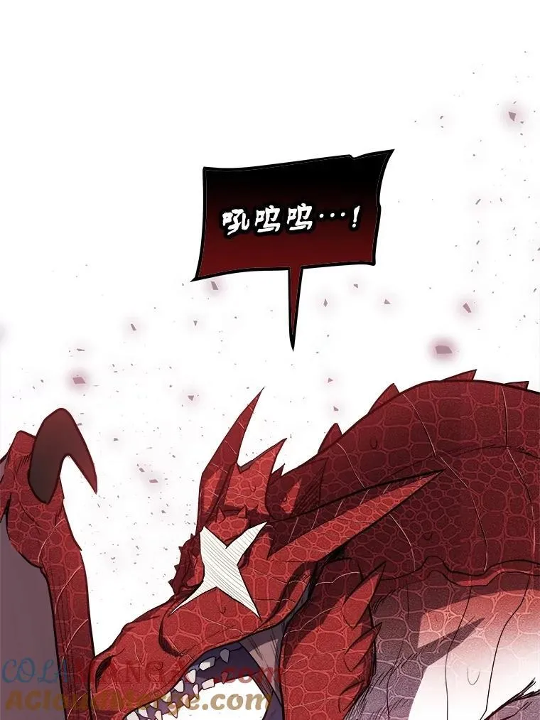 100.讨伐龙兽 第101页