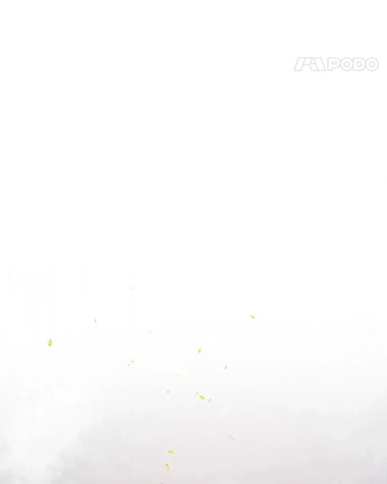 108.开启调查 第46页