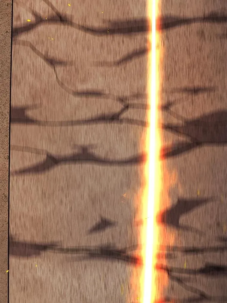 111.蜘蛛网 第46页