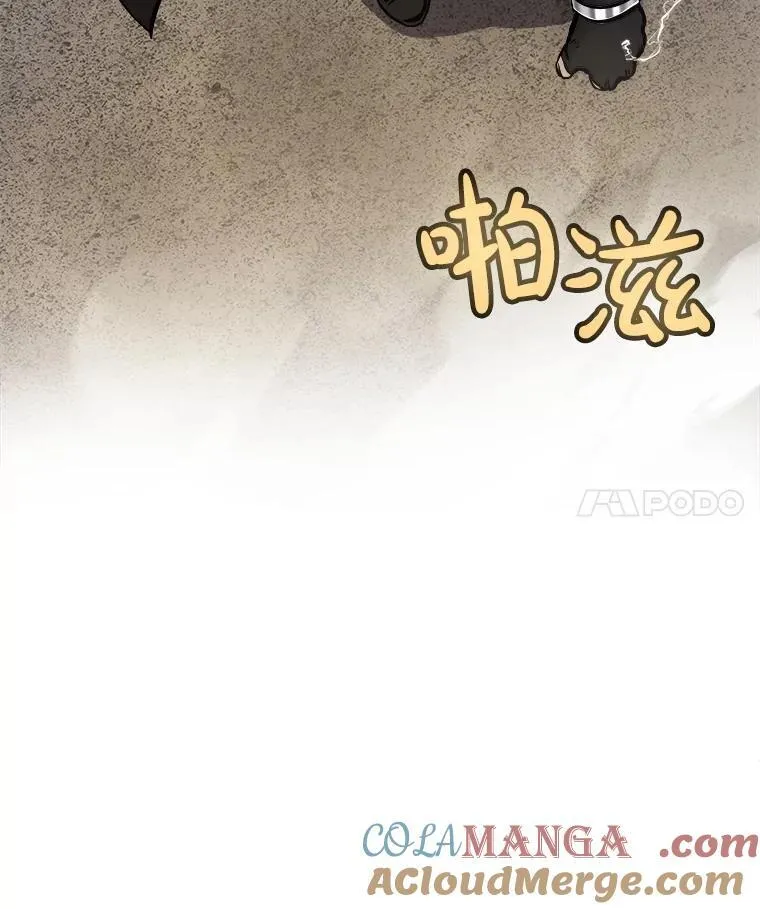 112.复制体 第29页