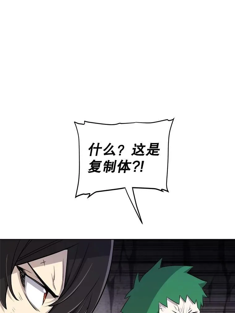 112.复制体 第34页