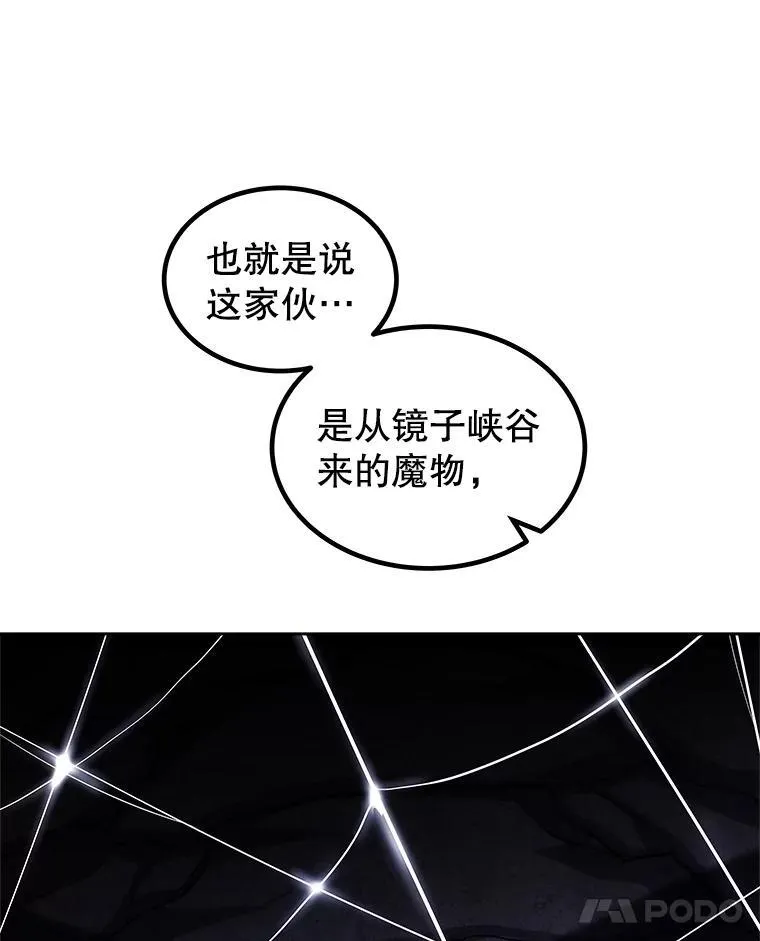 112.复制体 第36页