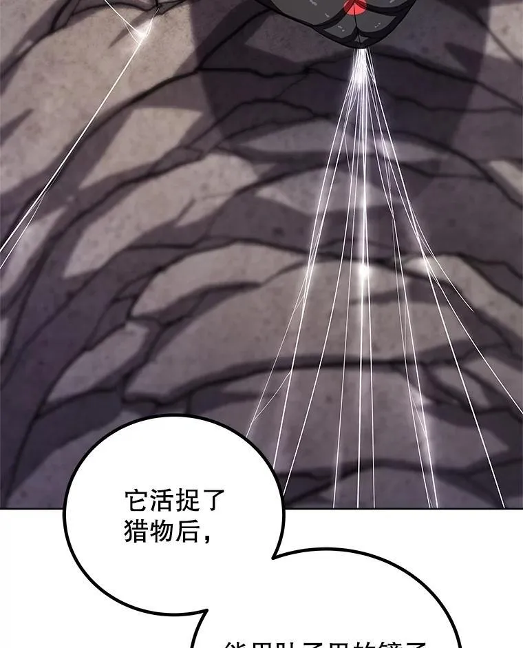 112.复制体 第38页