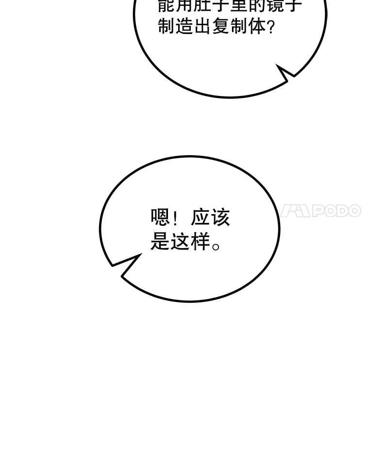 112.复制体 第39页