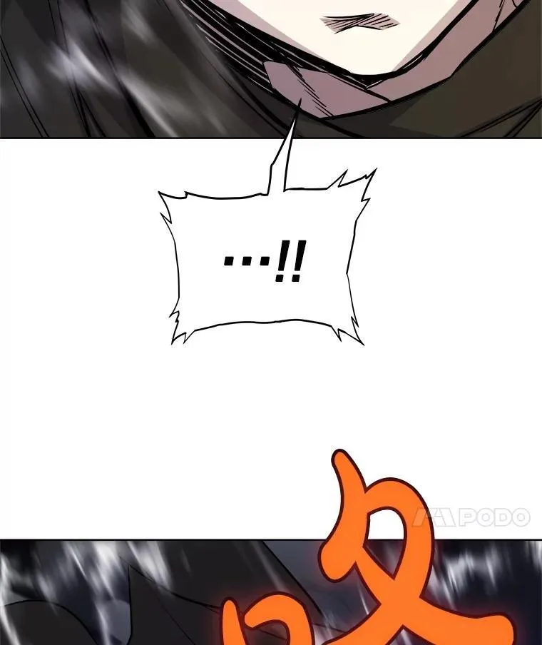 112.复制体 第66页