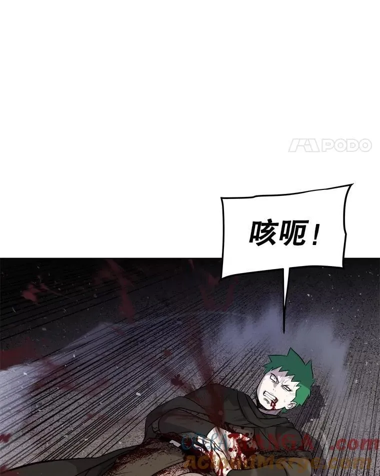 112.复制体 第77页