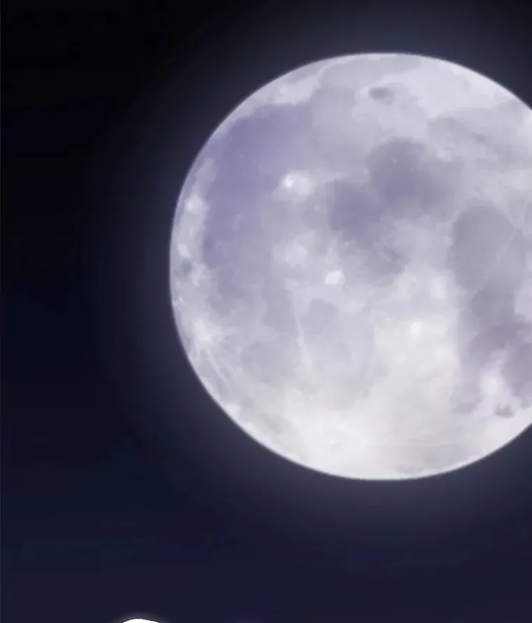 114.连环意外 第140页