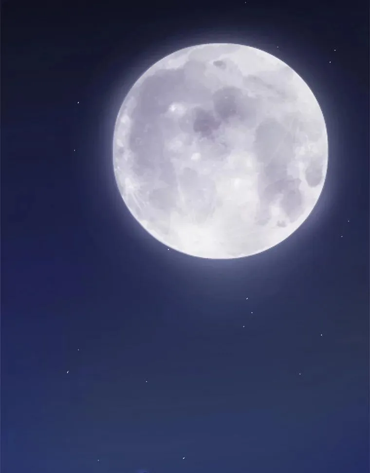 117.和圣女相见 第2页