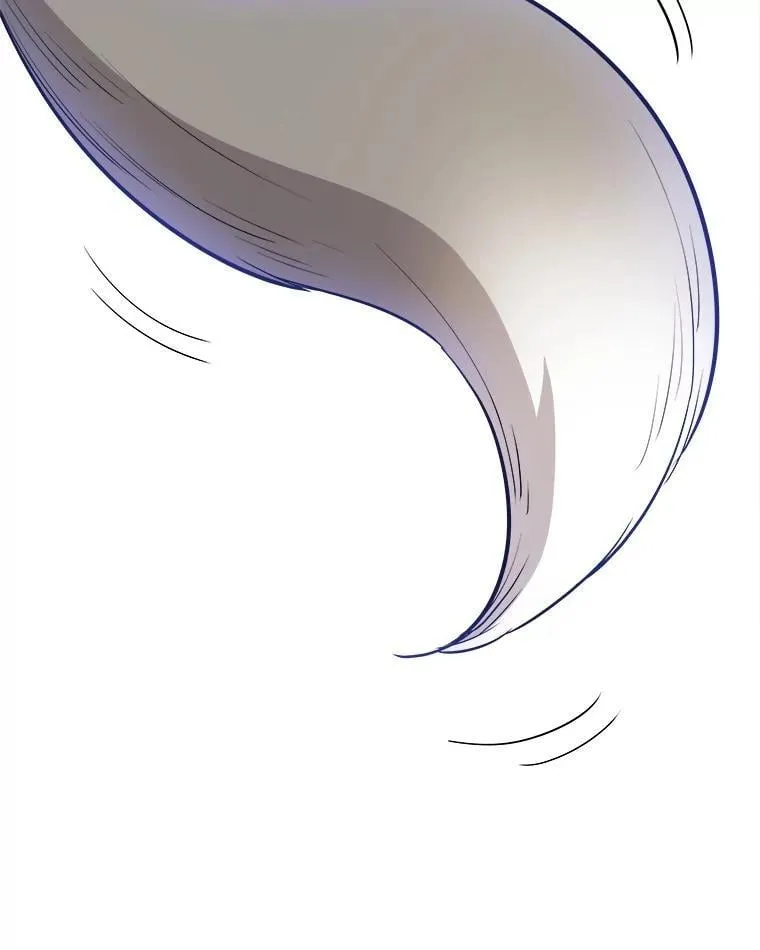 122.观看决斗 第46页