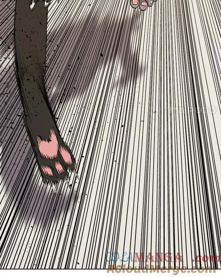 122.观看决斗 第93页