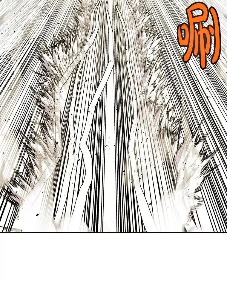 122.观看决斗 第95页