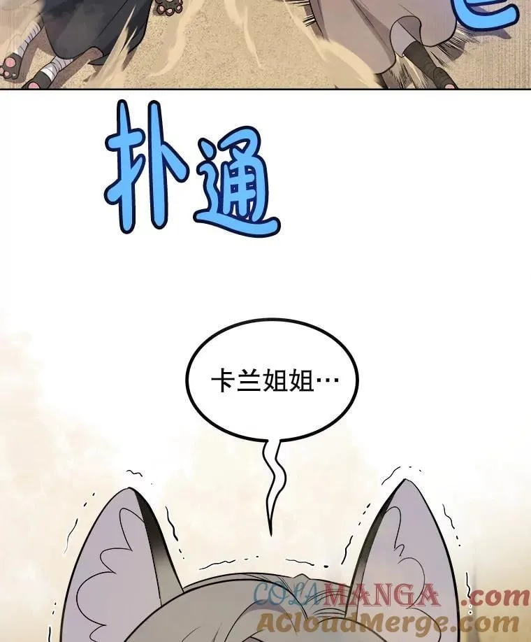 125.猫族拦路 第117页