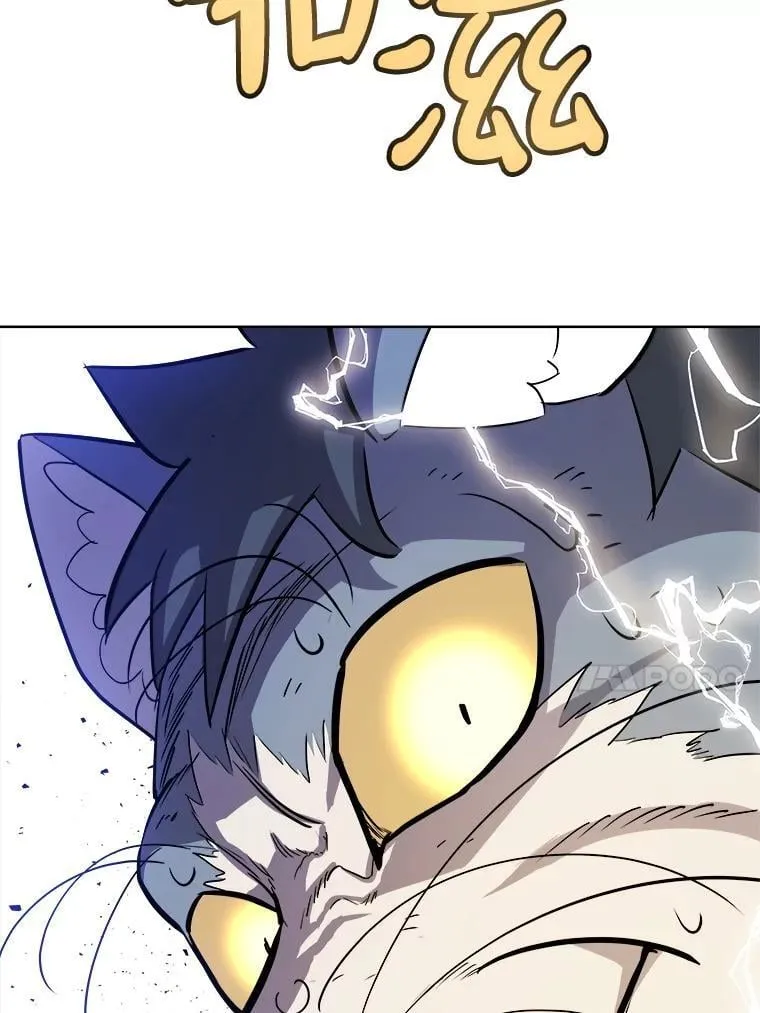 125.猫族拦路 第135页