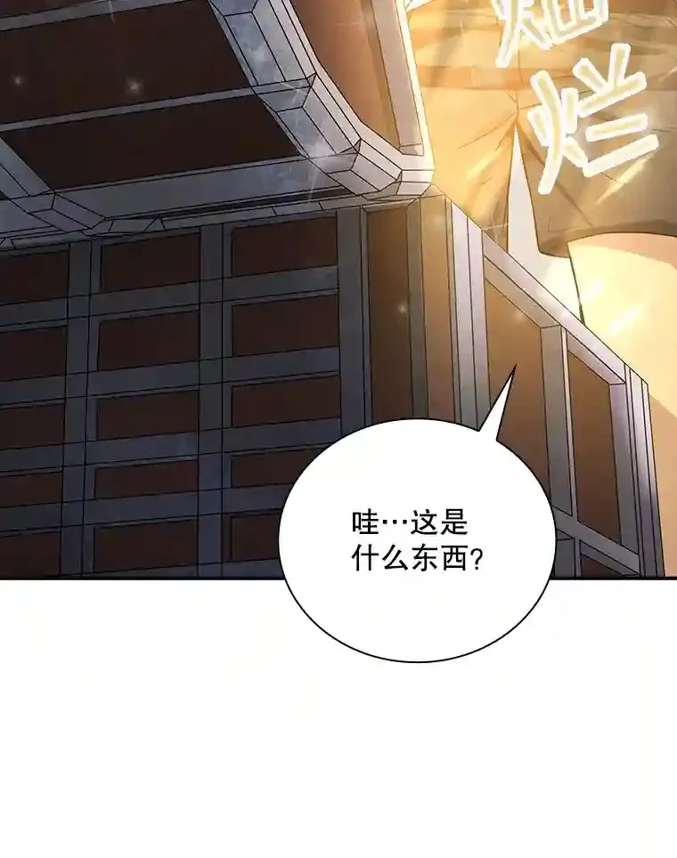 1.觉醒的机会 第107页