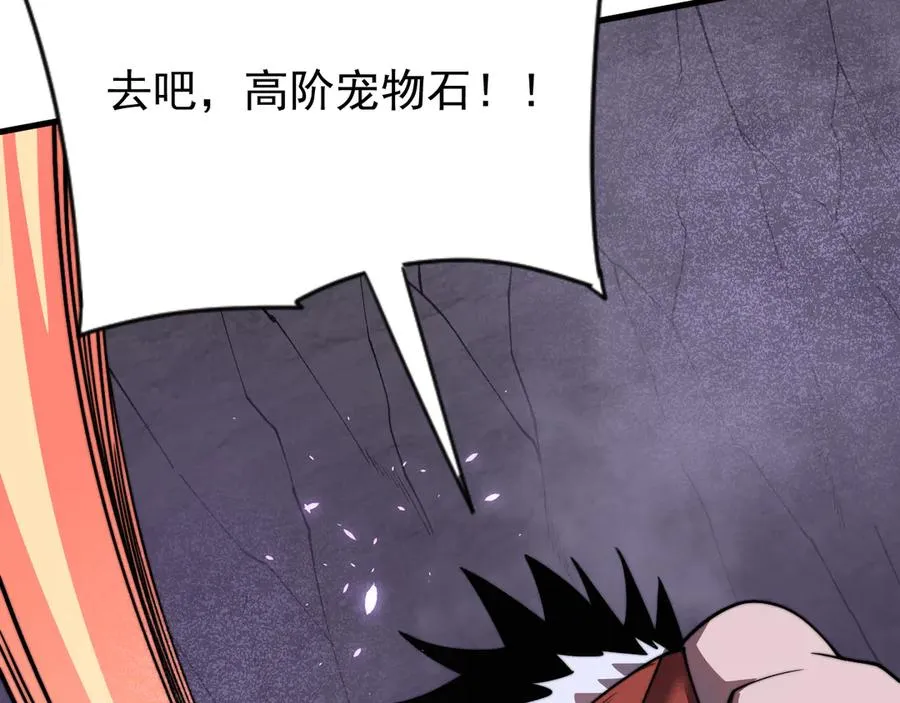 第98话 宠物捕捉 第143页