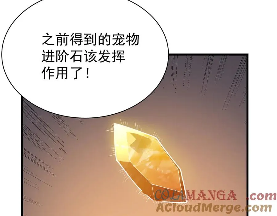 第99话 宠物进阶 第25页