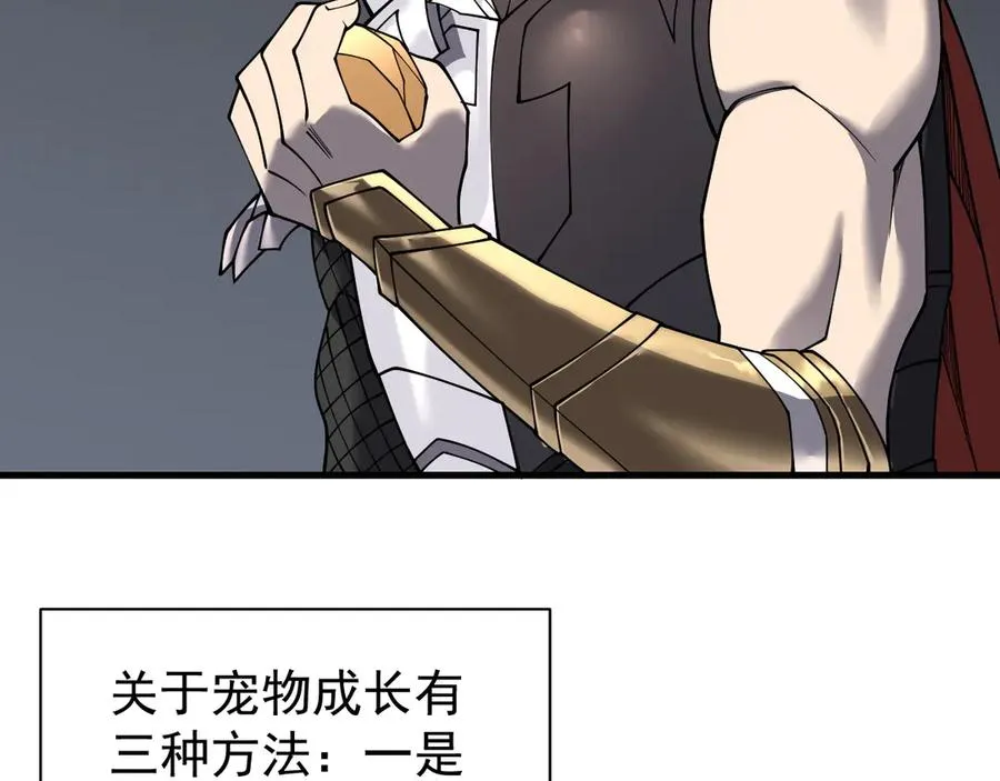 第99话 宠物进阶 第96页