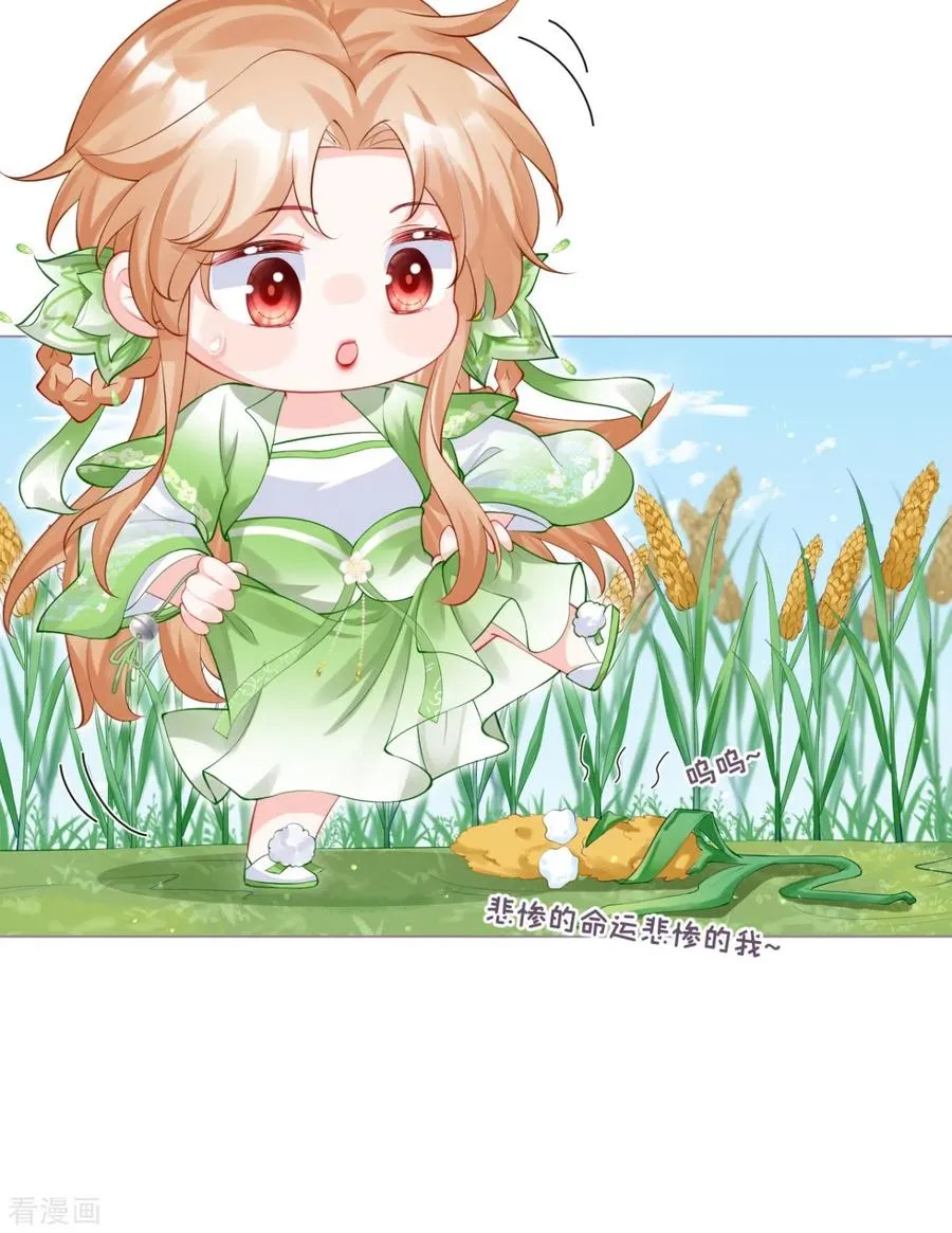第33话 喜得未婚夫 第30页