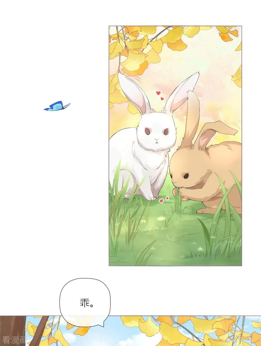 第35话 含情脉脉大特训 第5页