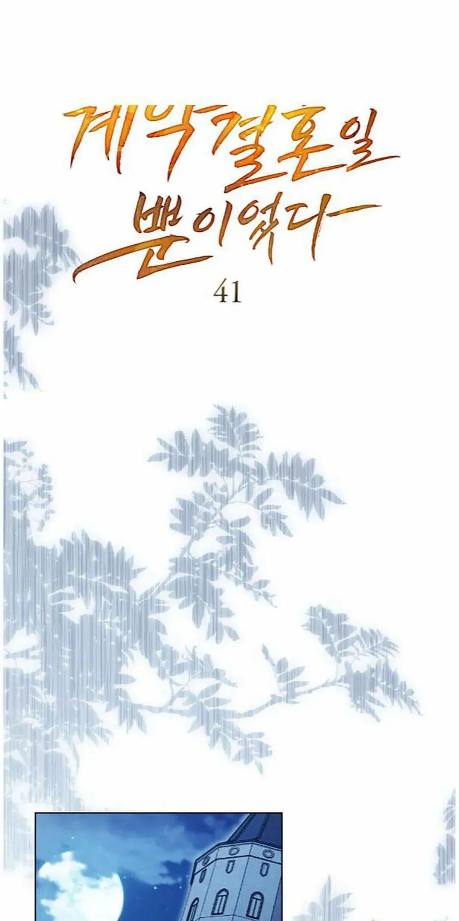 第41话 第11页
