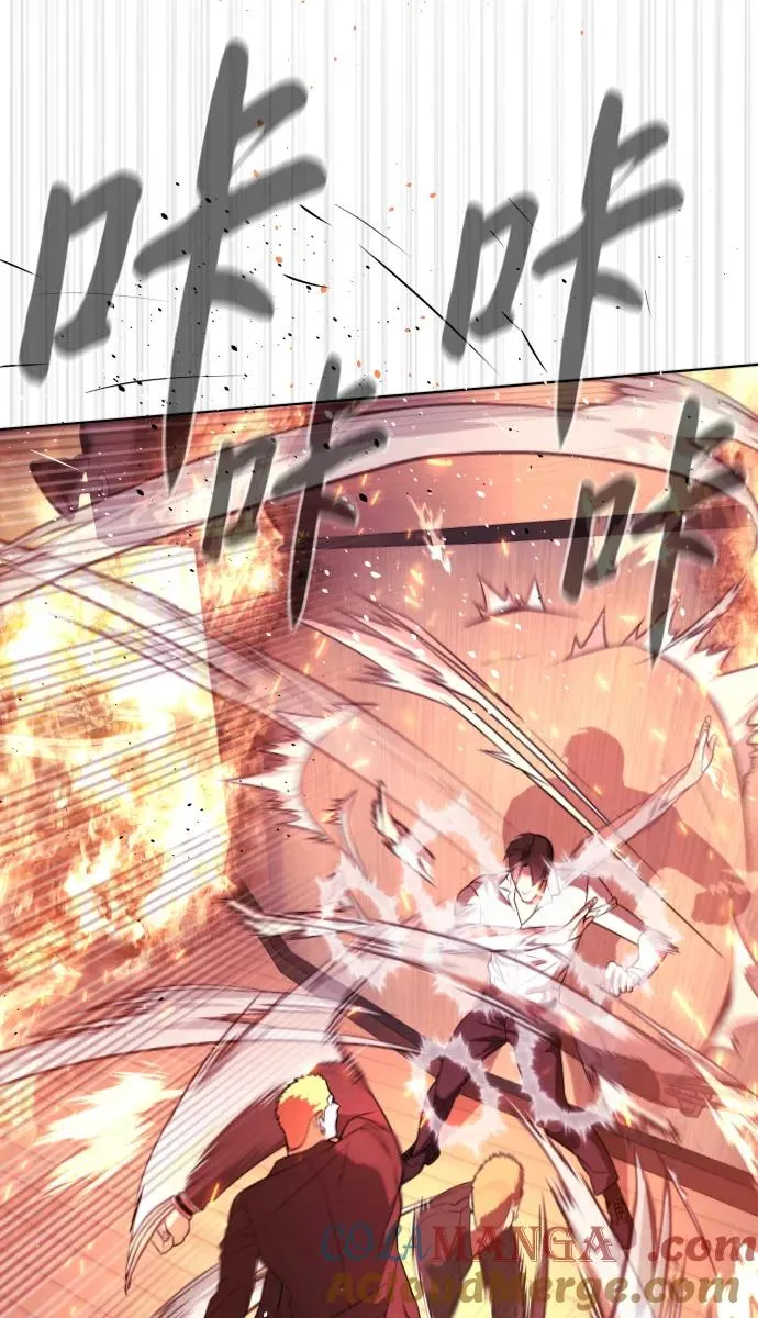 [第35话] 毒豹流的秘密 第29页