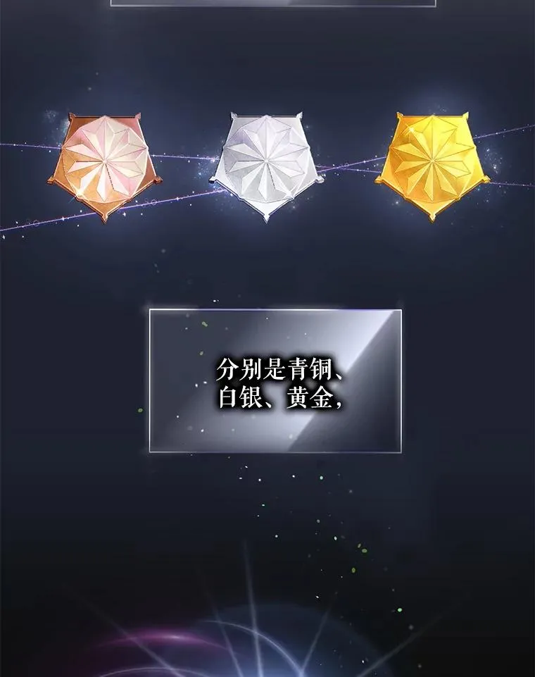8.等级评价结果 第24页