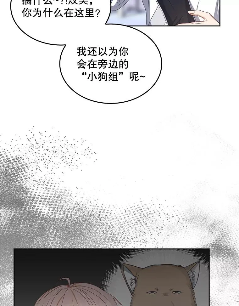 39.小兔组来也 第26页