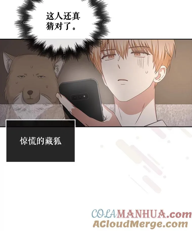 49.哈士奇组的危机 第93页