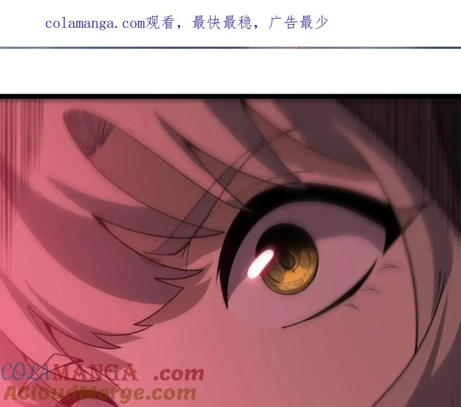 第35话 清除诅咒！ 第1页