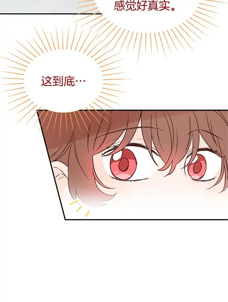 22.修改条约 第69页