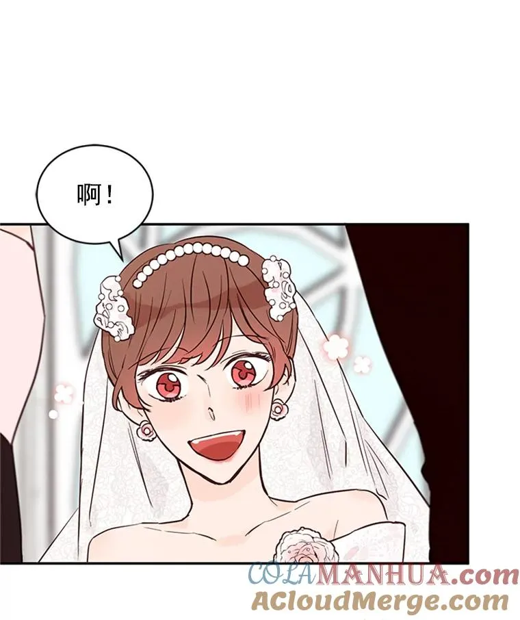 22.修改条约 第79页